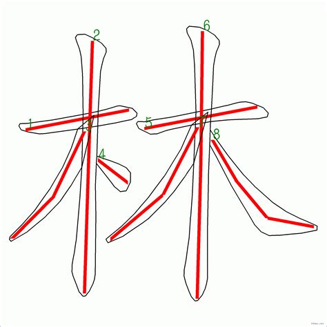 林的筆劃|林的筆順 林字的筆順 林字筆順查詢